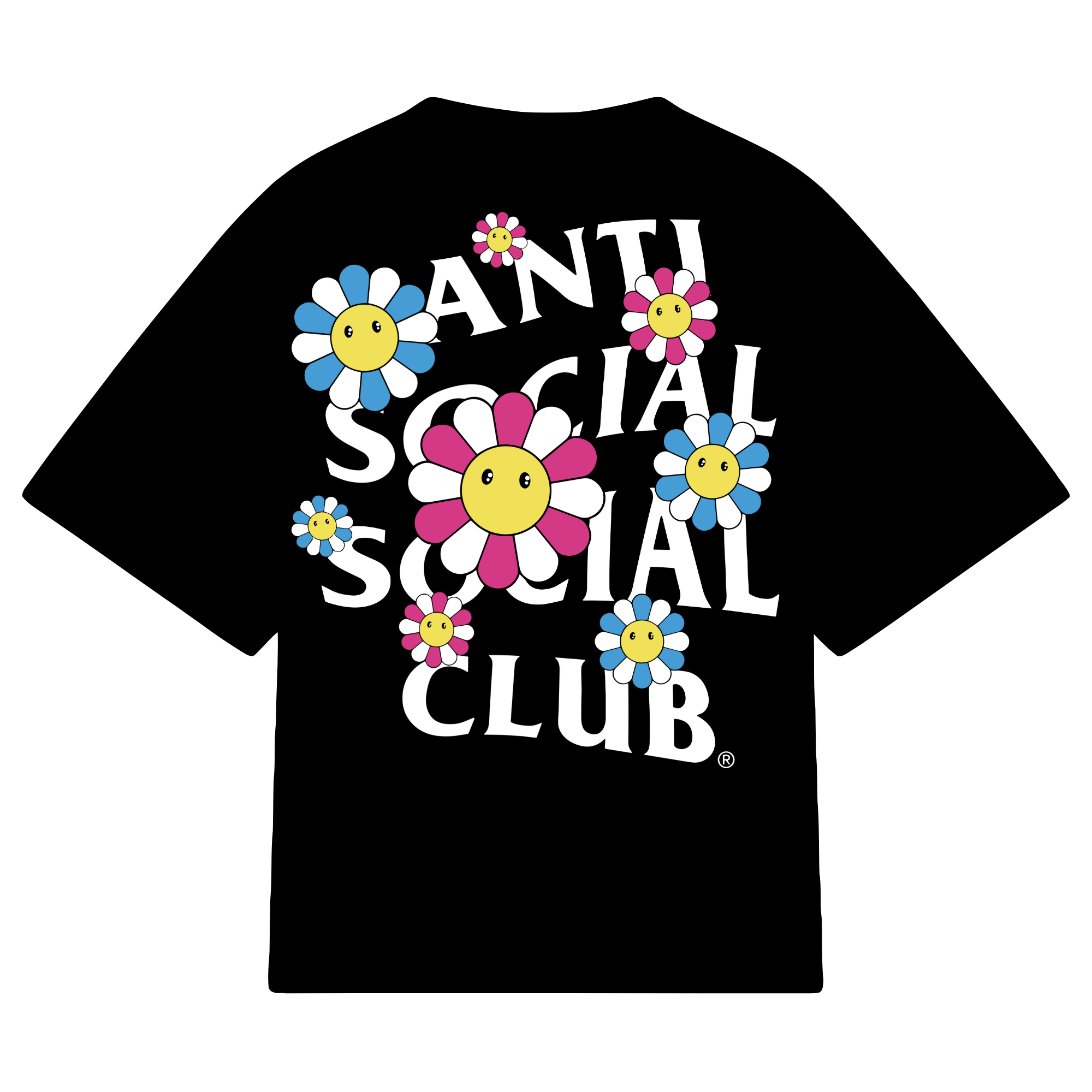 5 (3)